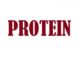 How Much Protein Should I Eat?